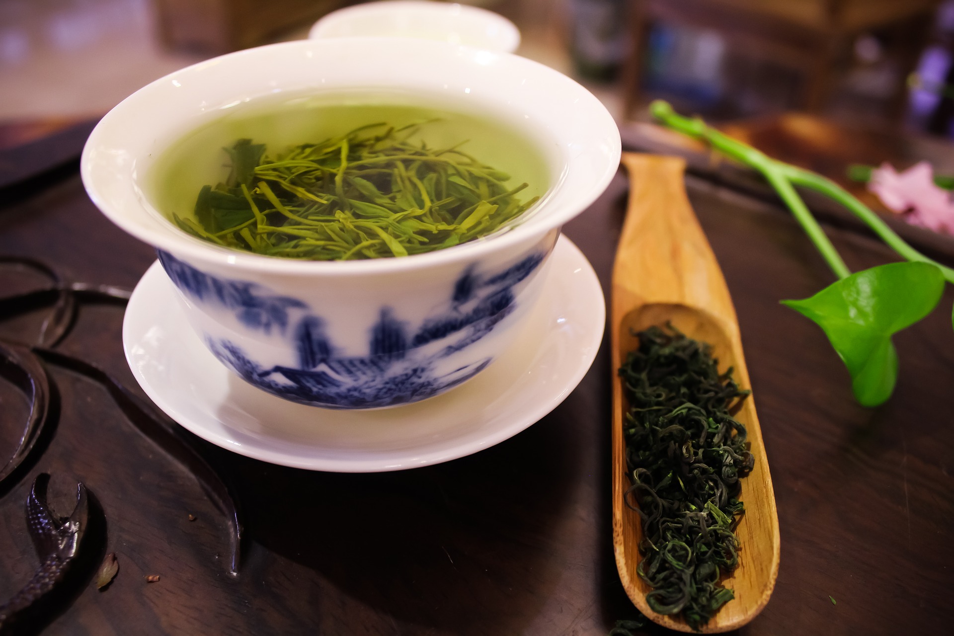 緑茶の抽出物 抗酸化効果